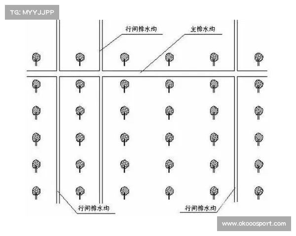 雨战频发，场地排水系统经受考验